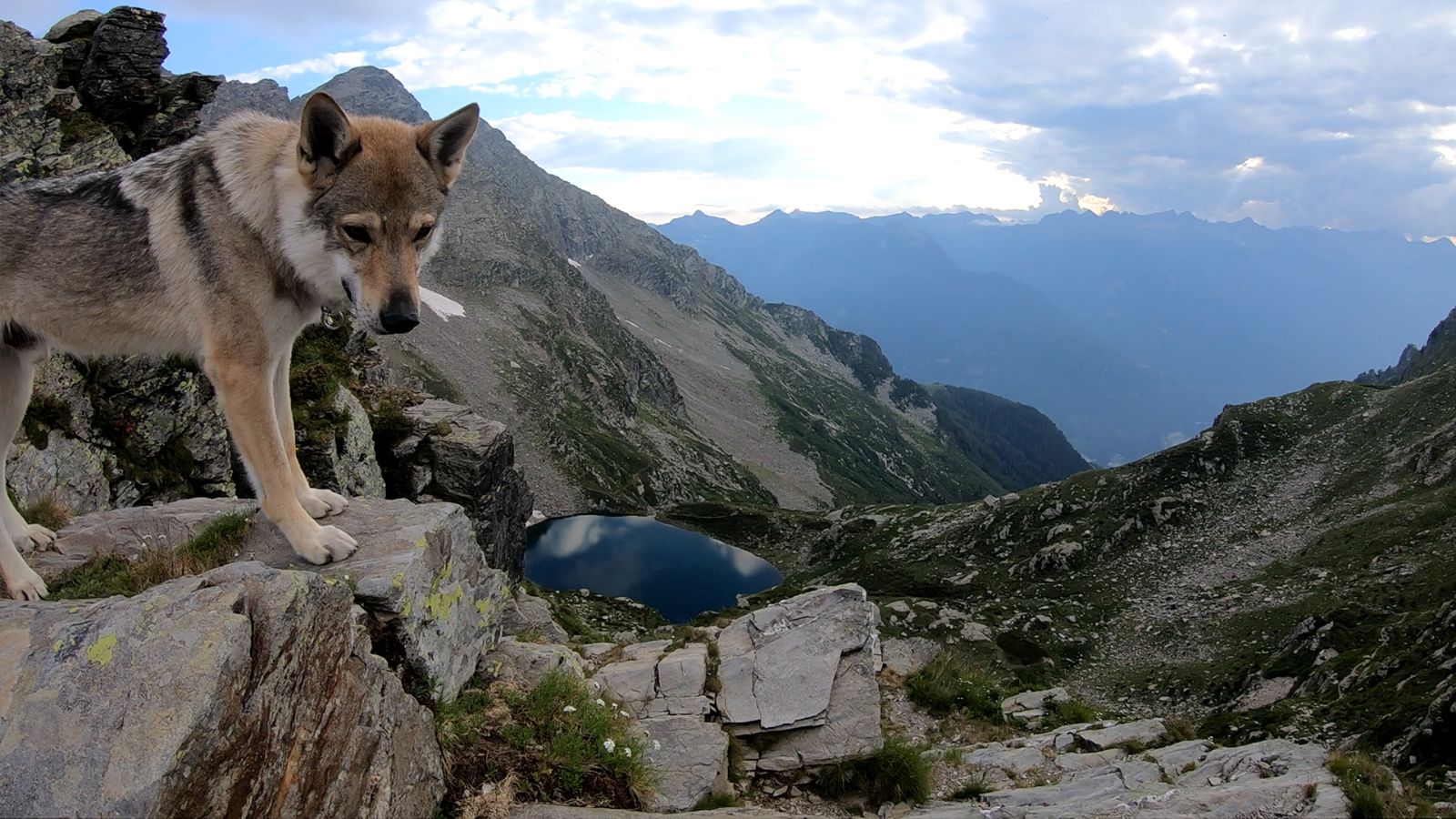 La vastità della natura