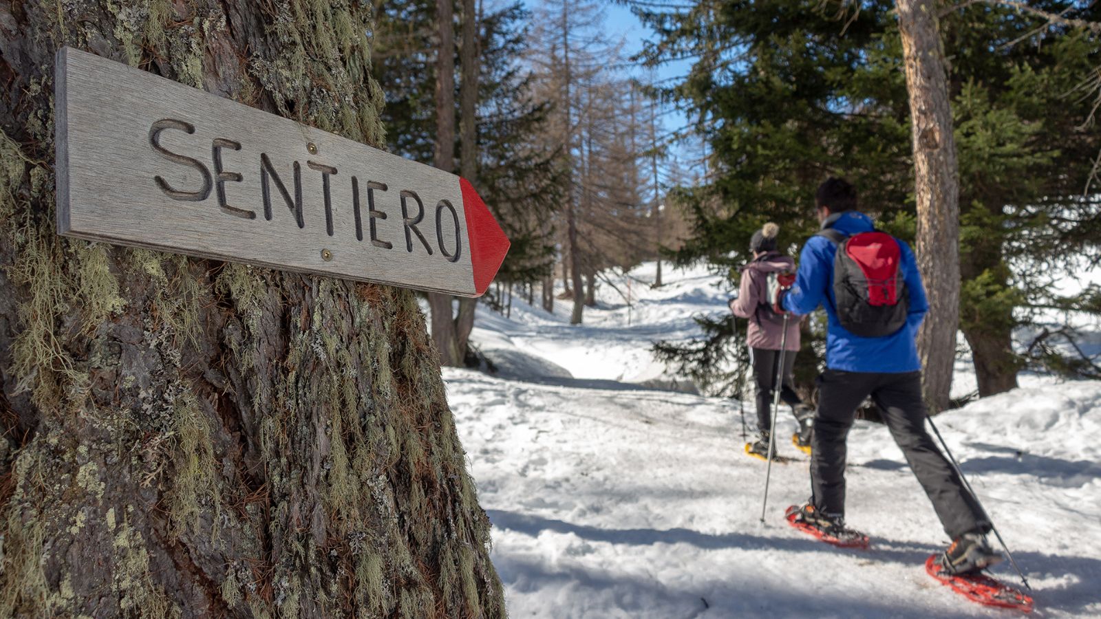 Snowshoeing in Cioss Prato, Bedretto Valley