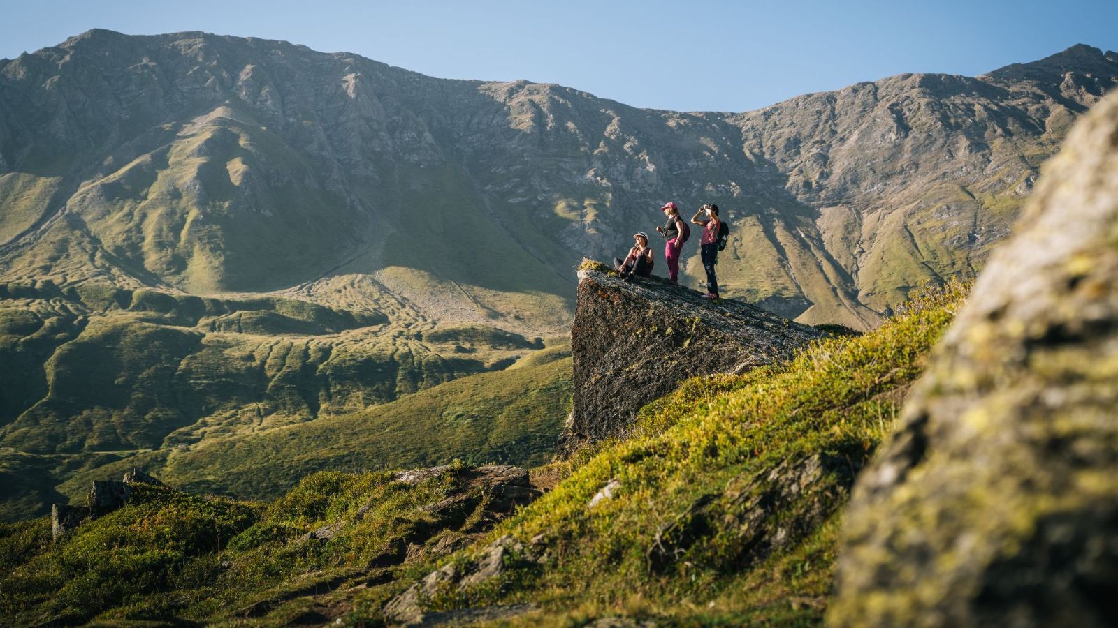 Discovering alpine wildlife in the Bedretto Valley