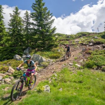 Mountain bike