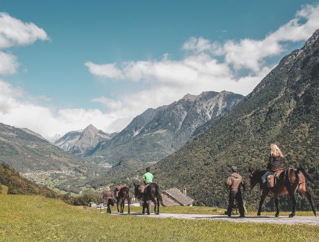 Valle di Blenio, a spasso con gli animali 