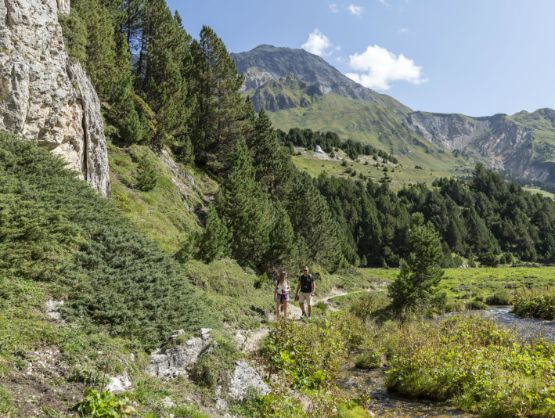 Forest Reserve Selvasecca