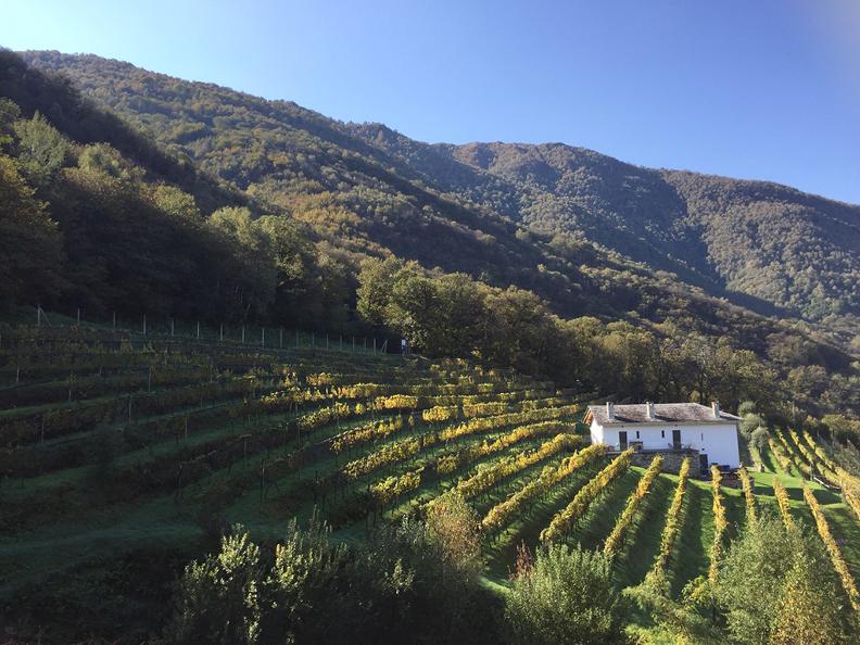 Image 0 - Agriturismo La Vigna Image 0 - Agriturismo La Vigna
