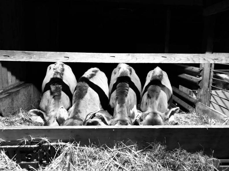 Image 3 - Azienda agricola Ponzio Top Ticino