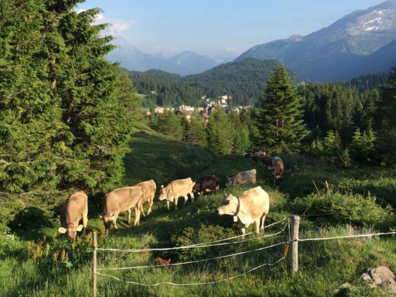 Image 2 - Azienda agricola Ponzio Top Ticino