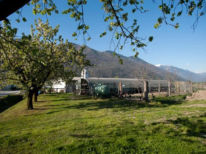 Image 3 - Azienda agricola Claudio Guerra - Agriturismo La Ciossa