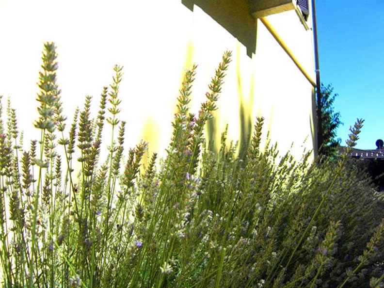 Image 4 - La Villa - B & B