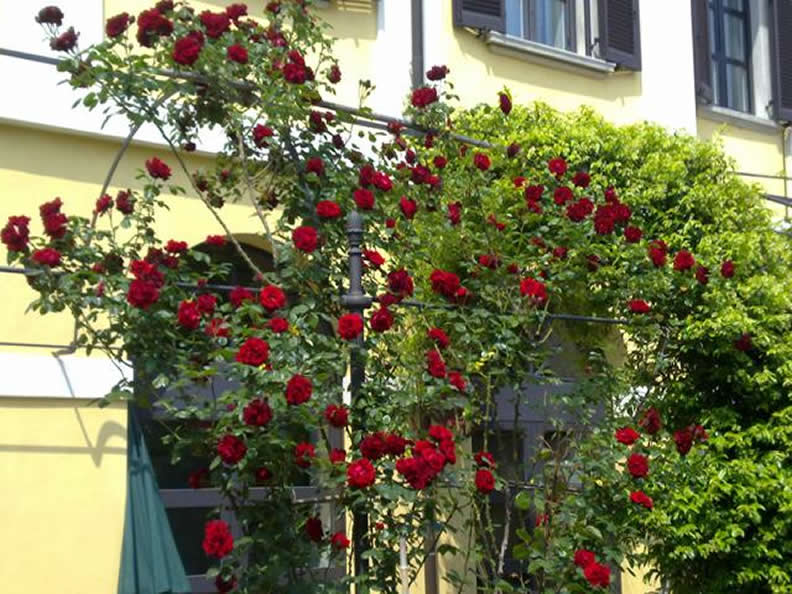 Image 6 - La Villa - B & B