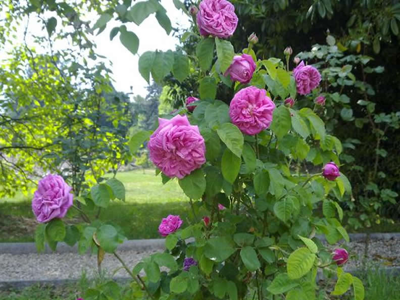 Image 7 - La Villa - B & B