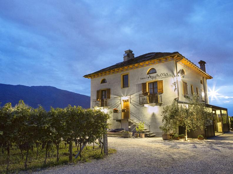 Image 0 - Agriturismo Fattoria l'Amorosa Image 0 - Agriturismo Fattoria l'Amorosa