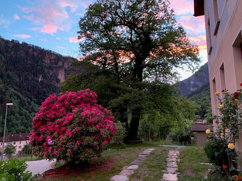Image 3 - Villa Mirasole