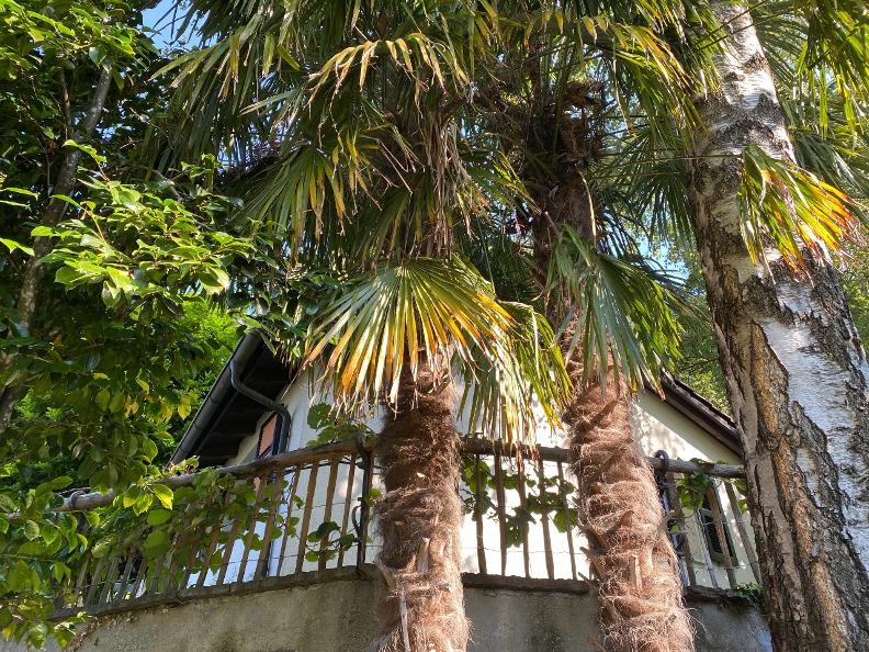 Image 15 - Casa Marangi