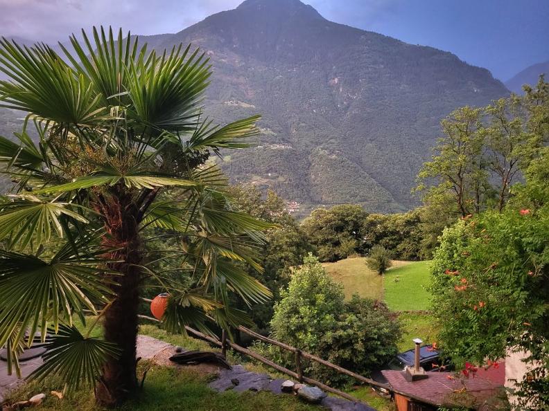 Image 8 - Oasis di Riposa