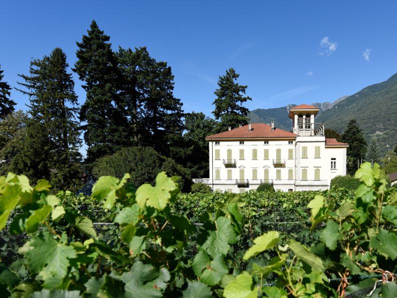 Image 6 - Villa dei Cedri