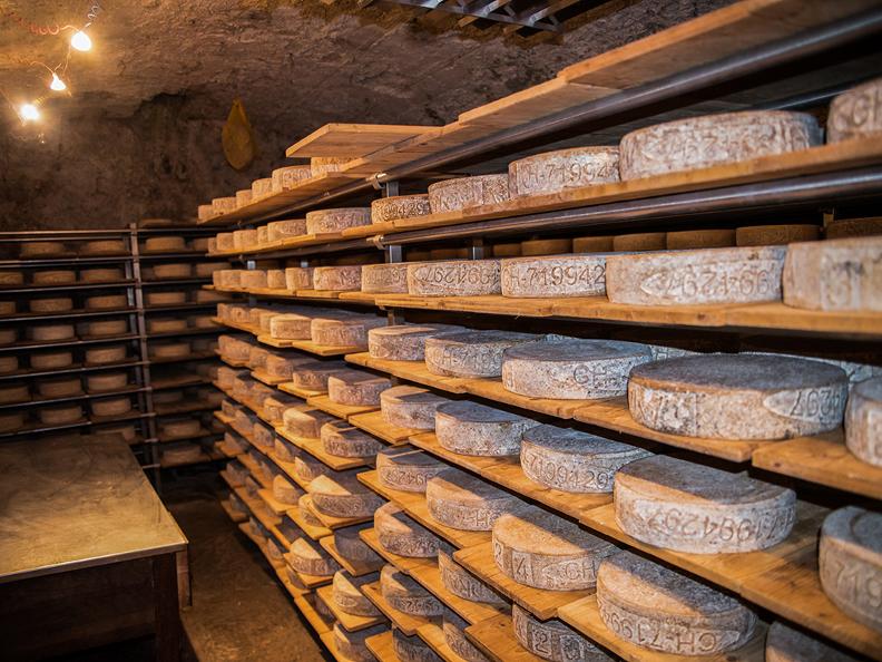 Image 7 - Open cheese factories 