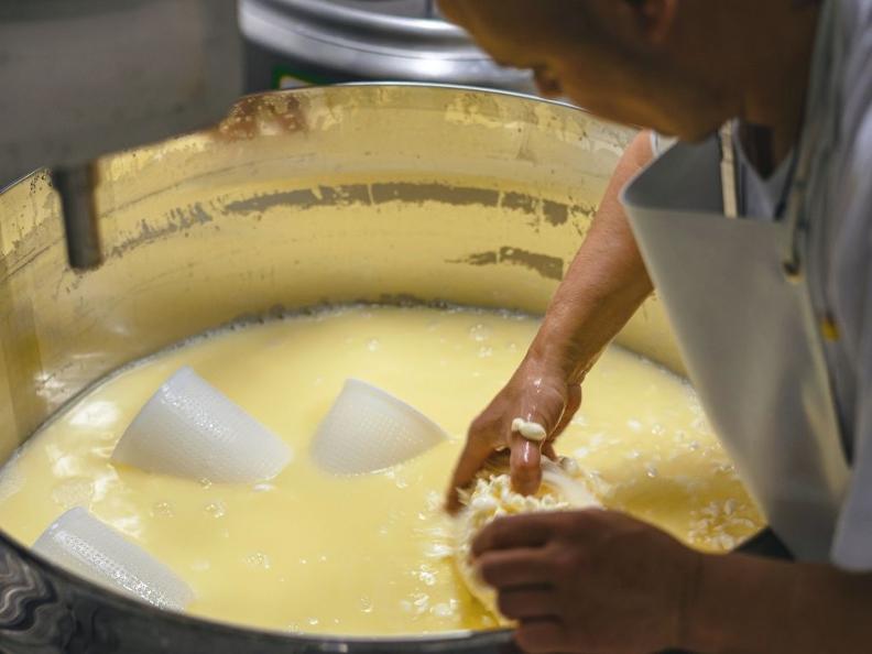 Image 2 - Open cheese factories 