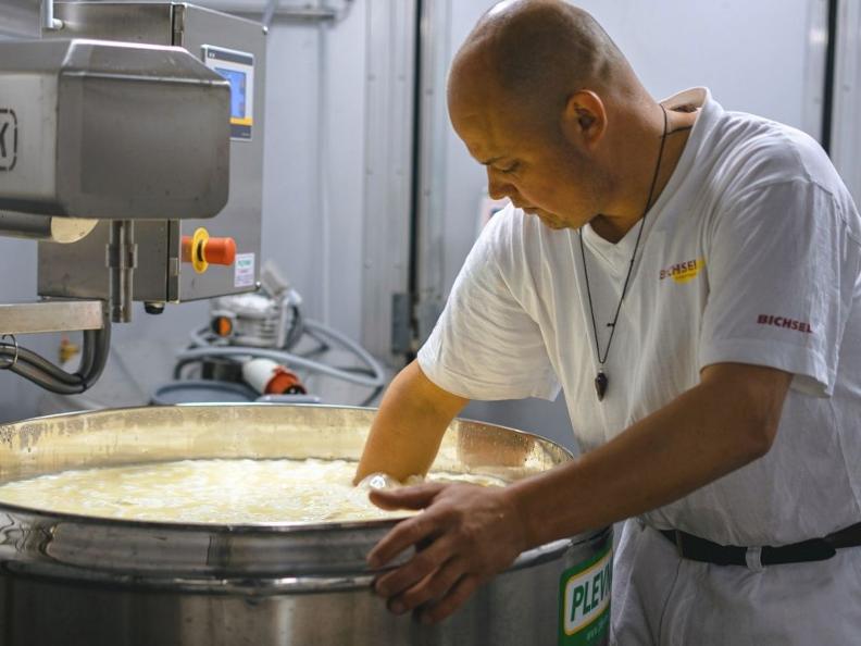 Image 5 - Open cheese factories 