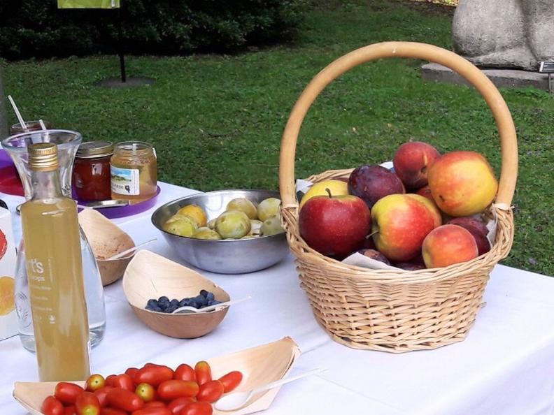 Image 1 - Brunch on August 1st - Museo Villa dei Cedri