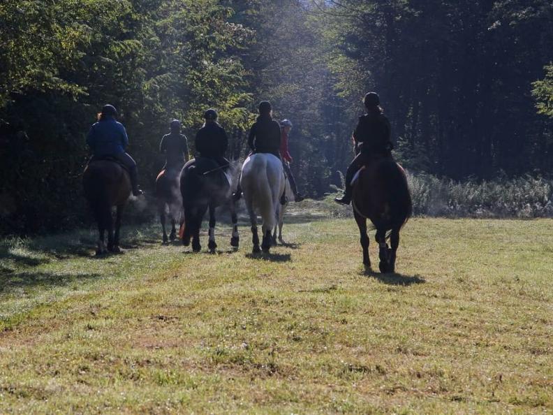 Image 7 - Championnat suisse d'endurance 2025