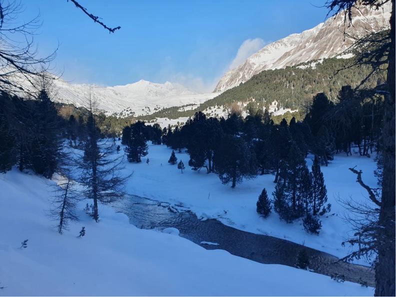 Image 1 - Moonlight Snowshoeing and Fondue