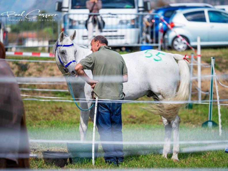 Image 2 - Championnat suisse d'endurance 2025