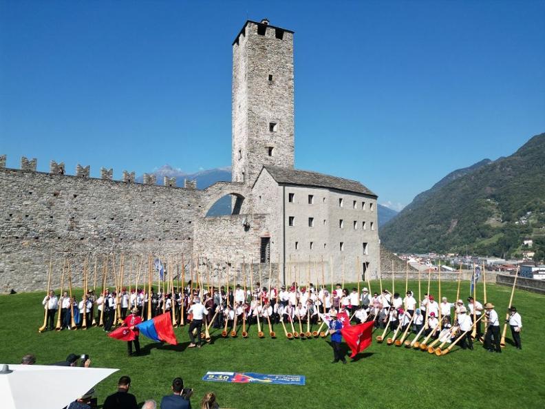 Image 2 - Festival de Cors des Alpes