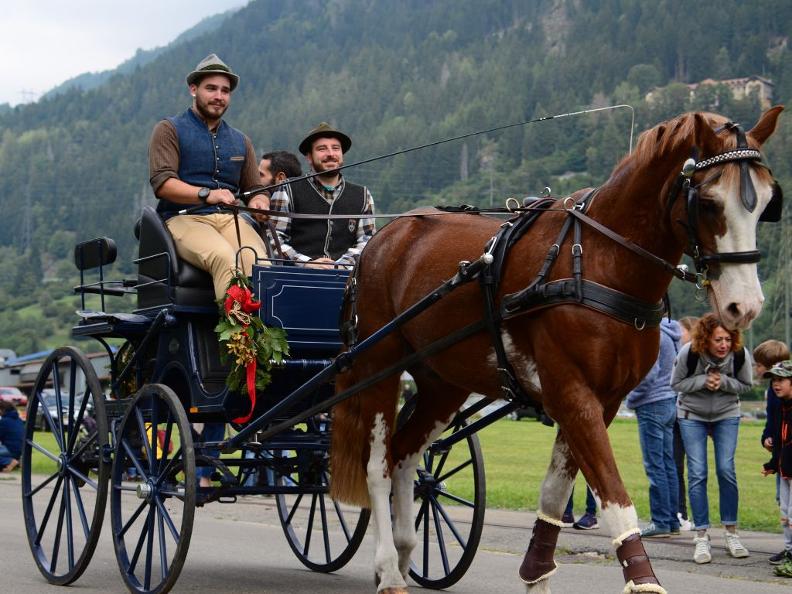 Image 2 - Agriculture and cheese fair in the Leventina Valley
