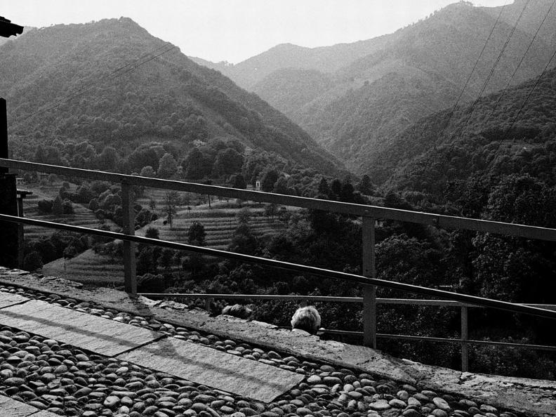 Image 3 - Cinquant'anni a passo d'uomo - Casa Rotonda