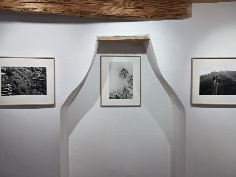 Image 1 - Cinquant'anni a passo d'uomo - Casa Rotonda
