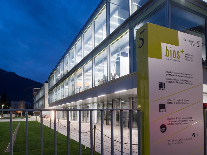 Image 0 - IRB - Istituto di Ricerca in Biomedicina Image 0 - IRB - Istituto di Ricerca in Biomedicina