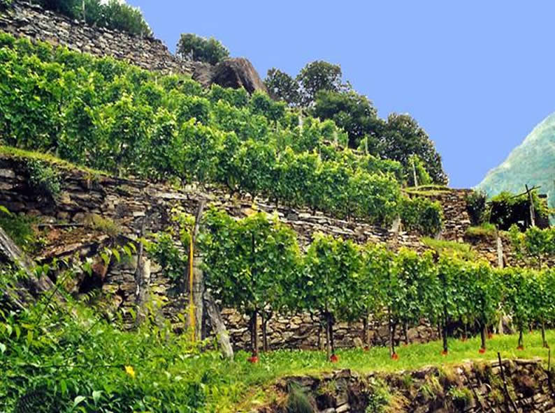 Image 2 - Sentiero Riviera – Biasca - Bellinzona