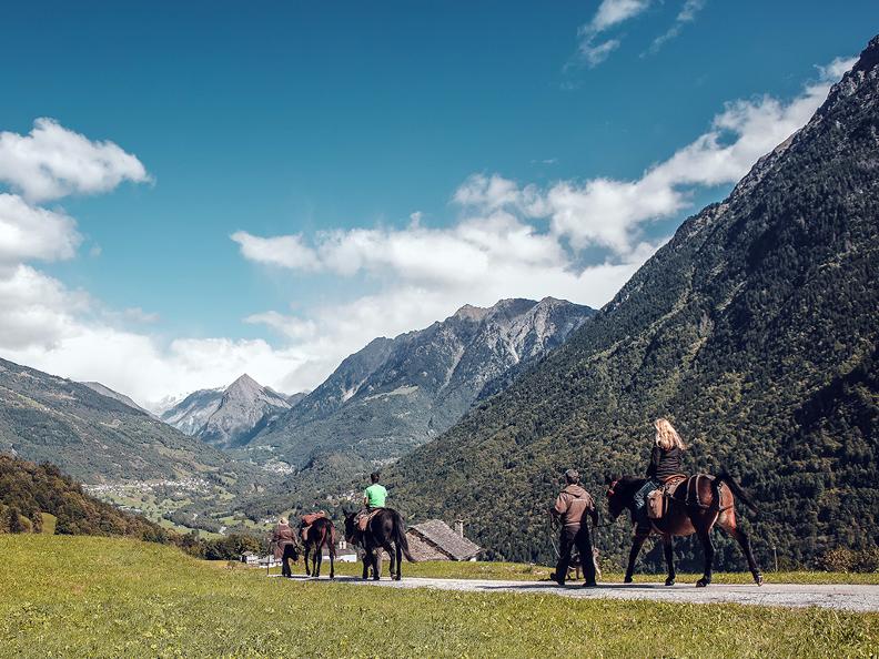 Image 2 - SOMARELLI - Trekking e avventure con gli animali