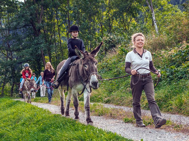 Image 3 - SOMARELLI - Trekking e avventure con gli animali