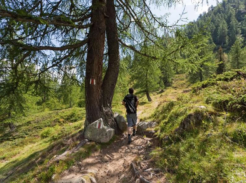 Image 2 - Mountain Fitness®