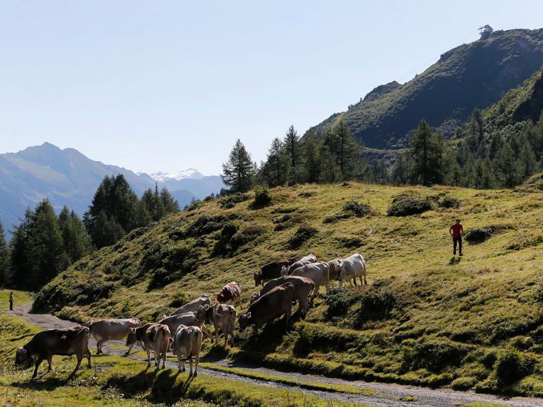 Image 2 - Col du Nufenen