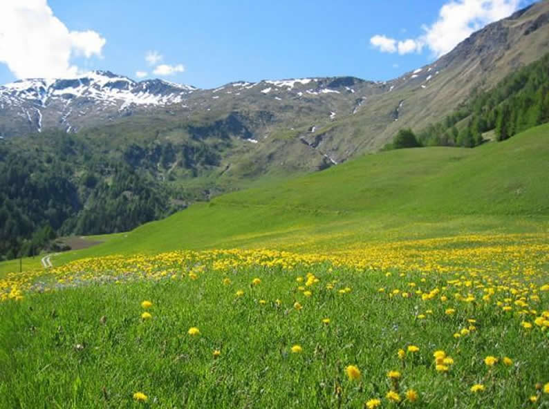 Image 2 - Associazione BlenioBike per promuovere lo sport e il turismo MOUNTAIN BIKE