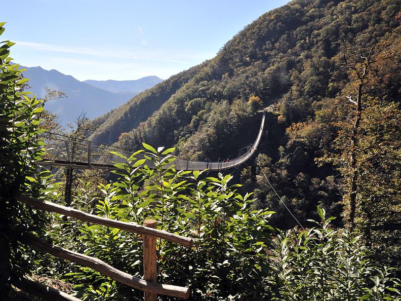 Image 7 - Tibetan bridge 