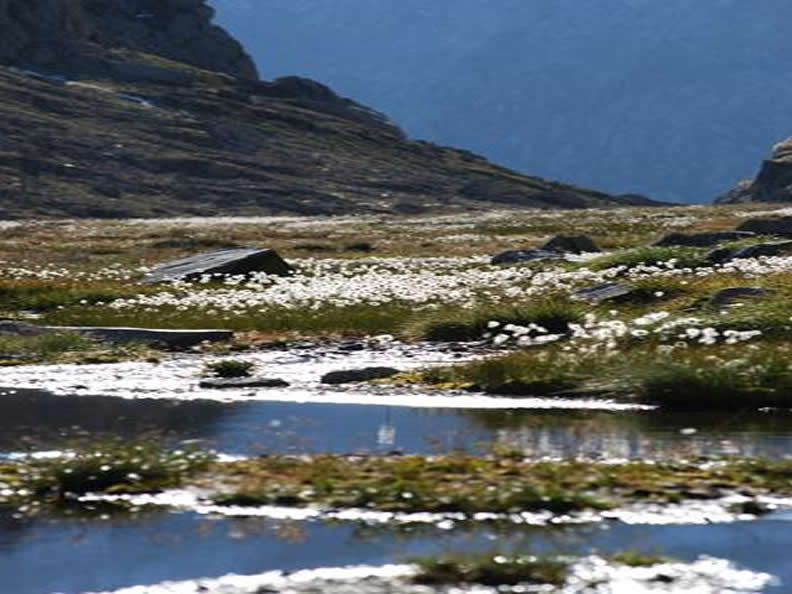 Image 2 - Escursione sulla Greina