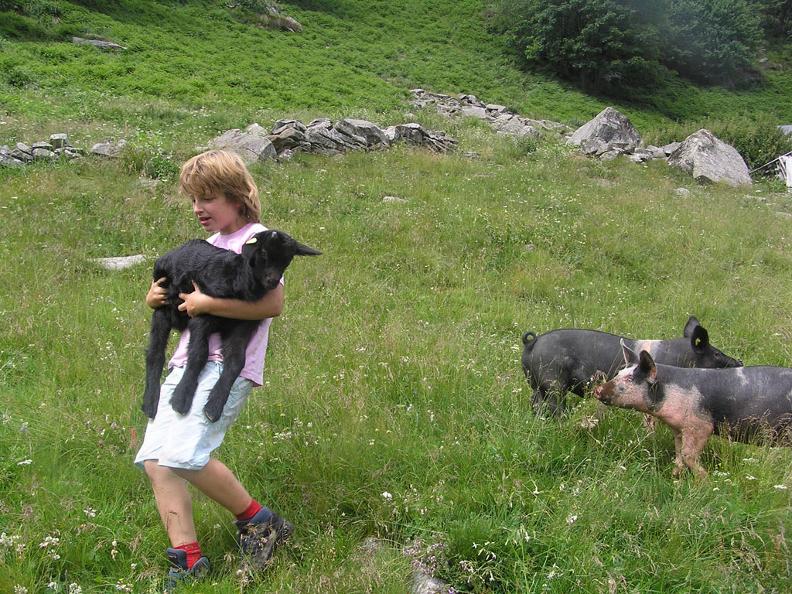 Image 1 - Progetto Scuola in Fattoria
