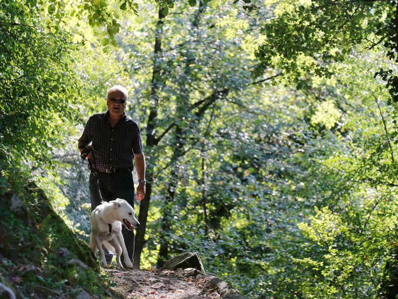 Image 3 - I cani da protezione delle greggi