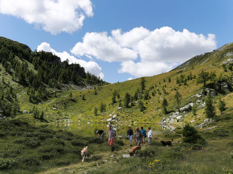 Image 4 - I cani da protezione delle greggi