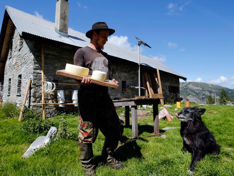 Image 1 - I cani da protezione delle greggi