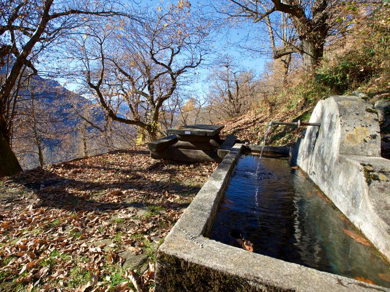 Image 2 - Chataigneraie 