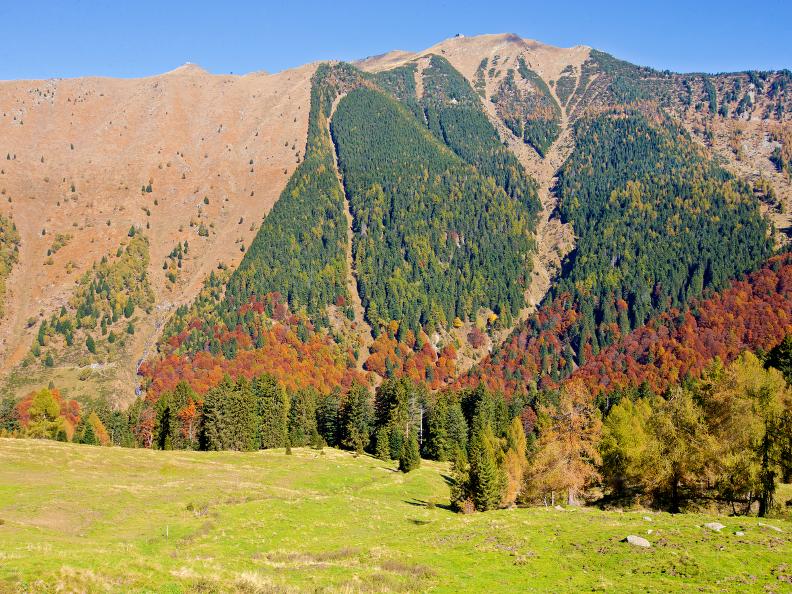 Image 0 - Bosco di protezione di Giggio Image 0 - Bosco di protezione di Giggio