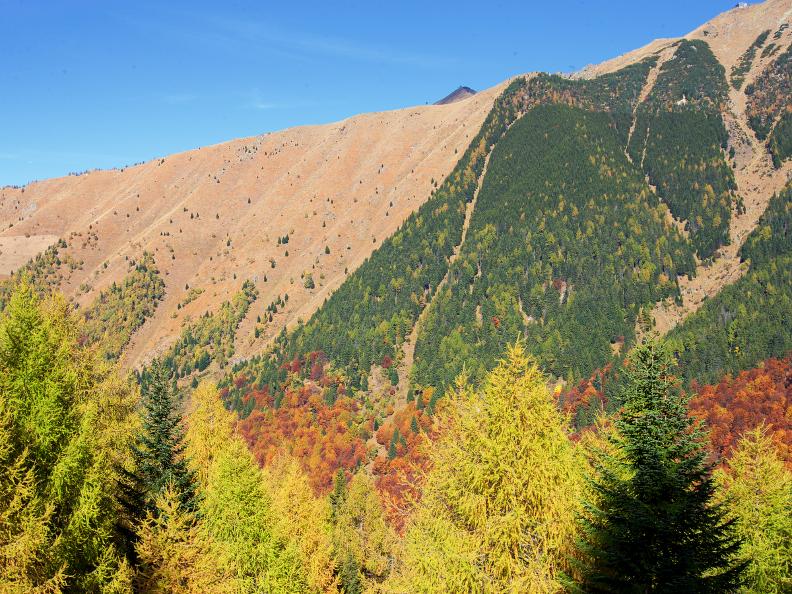 Image 1 - Bosco di protezione di Giggio
