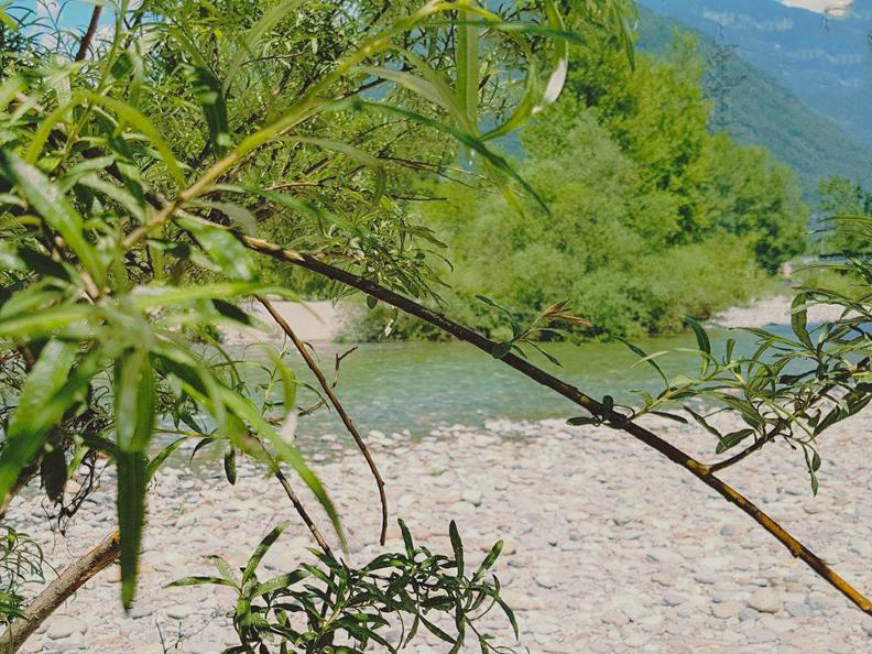 Image 3 - La Spiaggetta - Arbedo