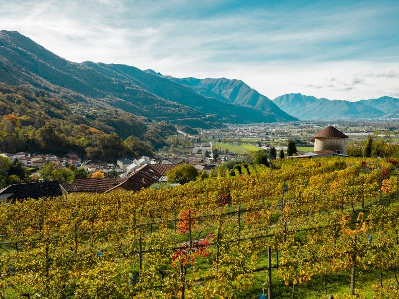 Image 2 - QUINTOUR - tour gastronomico su due ruote