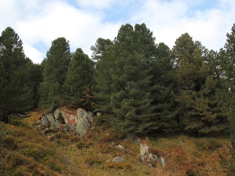 Image 4 - Riserva forestale della Selvasecca