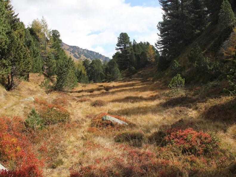 Image 1 - Riserva forestale della Selvasecca