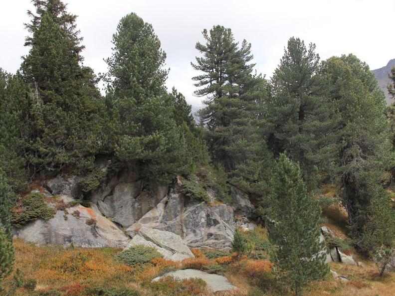 Image 5 - Riserva forestale della Selvasecca